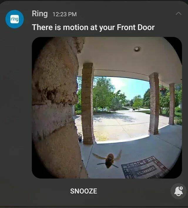Daily Pictures. Part 1 (60 pics)