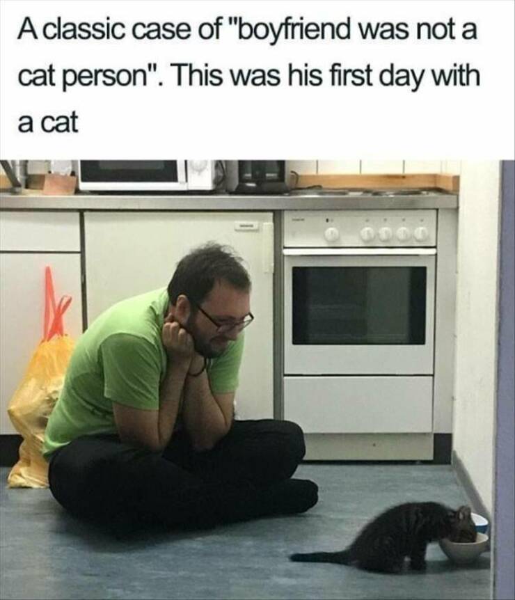 Daily Pictures. Part 2 (58 pics)