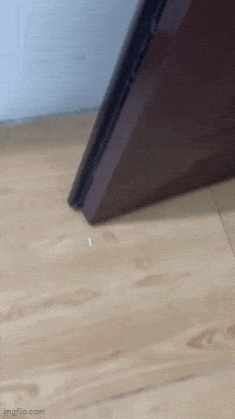 Acid GIFs, July 23 (25 gifs) Acid GIFs, July 23 (25 gifs)