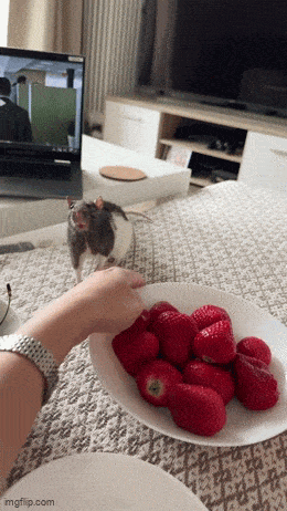 Acid GIFs, July 23 (25 gifs) Acid GIFs, July 23 (25 gifs)