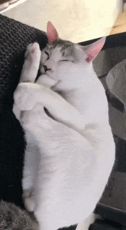 Acid GIFs, July 23 (25 gifs) Acid GIFs, July 23 (25 gifs)