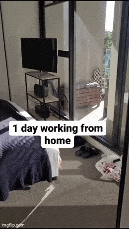 Acid GIFs, July 23 (25 gifs) Acid GIFs, July 23 (25 gifs)