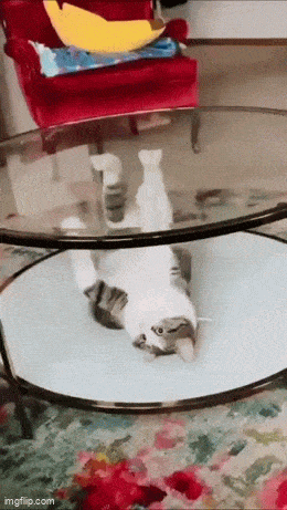 Acid GIFs, July 23 (25 gifs) Acid GIFs, July 23 (25 gifs)