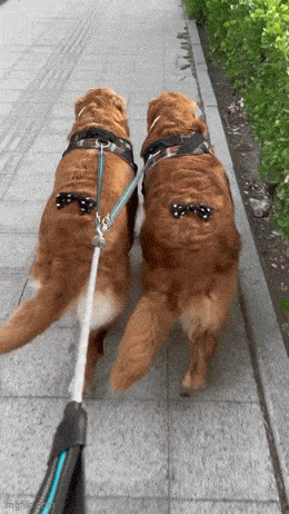 Acid GIFs, July 23 (25 gifs) Acid GIFs, July 23 (25 gifs)