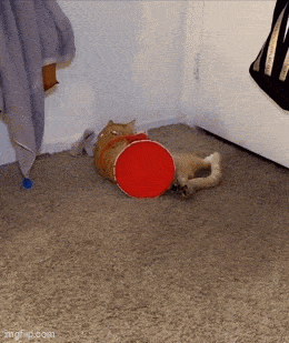 Acid GIFs, July 24 (25 gifs)