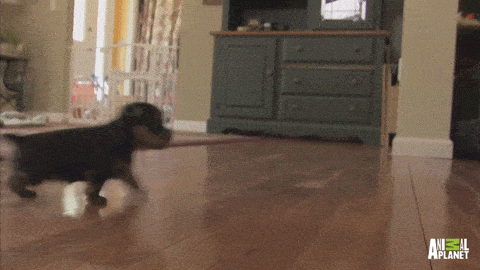 Acid GIFs, July 24 (25 gifs)