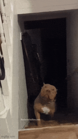 Acid GIFs, July 24 (25 gifs)