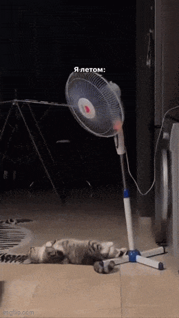 Acid GIFs, July 24 (25 gifs)