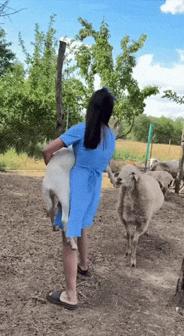 Acid GIFs, July 24 (25 gifs)