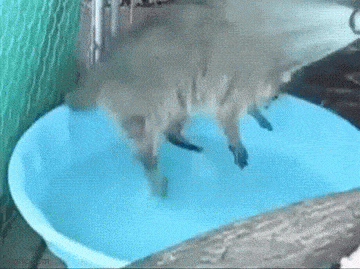Acid GIFs, July 24 (25 gifs)