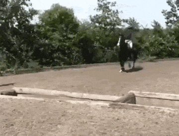 Acid GIFs, July 24 (25 gifs)