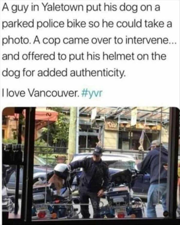 Daily Pictures. Part 2 (52 pics)