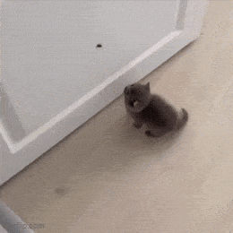 Acid GIFs, July 25 (25 gifs) Acid GIFs, July 25 (25 gifs)