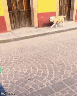 Acid GIFs, July 25 (25 gifs) Acid GIFs, July 25 (25 gifs)
