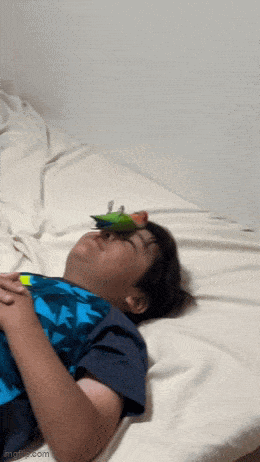 Acid GIFs, July 25 (25 gifs) Acid GIFs, July 25 (25 gifs)