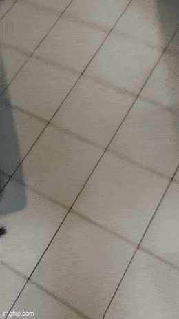 Acid GIFs, July 25 (25 gifs) Acid GIFs, July 25 (25 gifs)