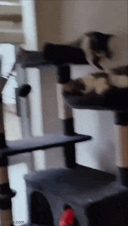 Acid GIFs, July 25 (25 gifs) Acid GIFs, July 25 (25 gifs)