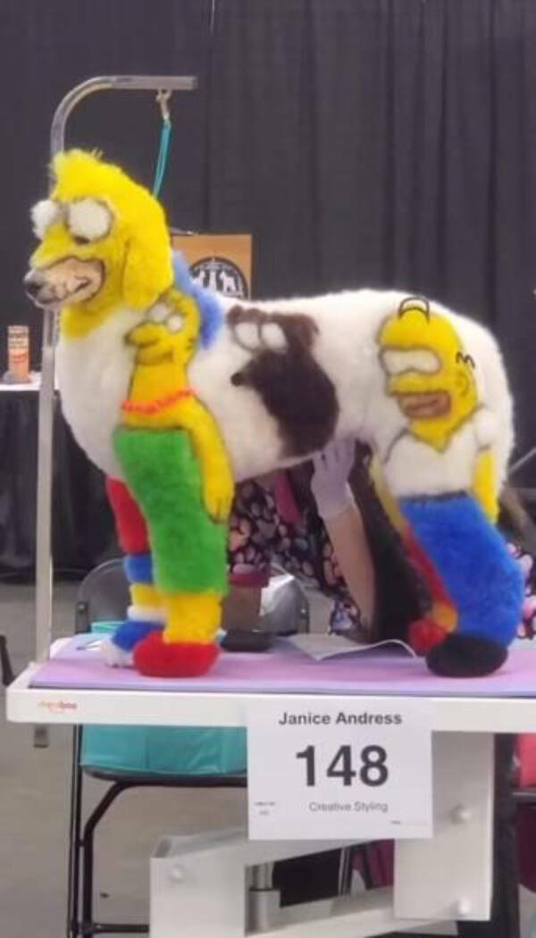 Weird Finds And Situations (20 pics)