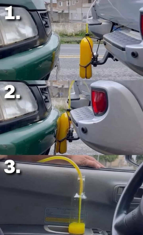 Weird Finds And Situations (20 pics)