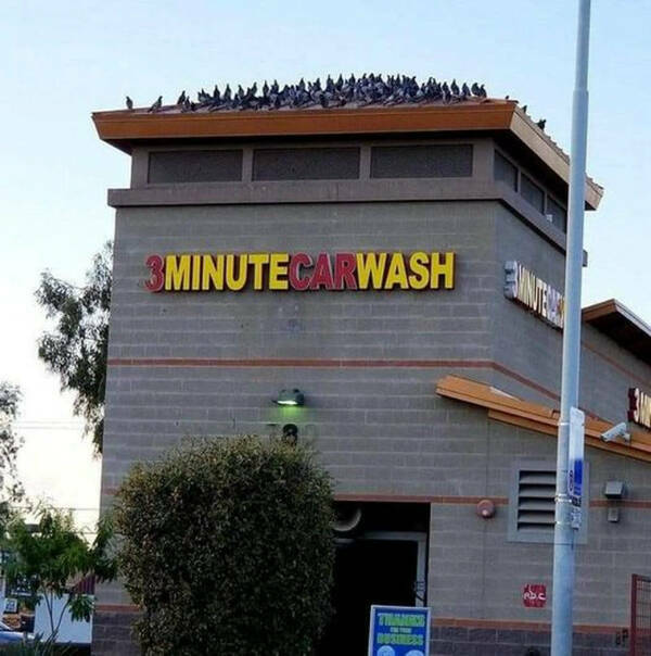 Weird Finds And Situations (20 pics)