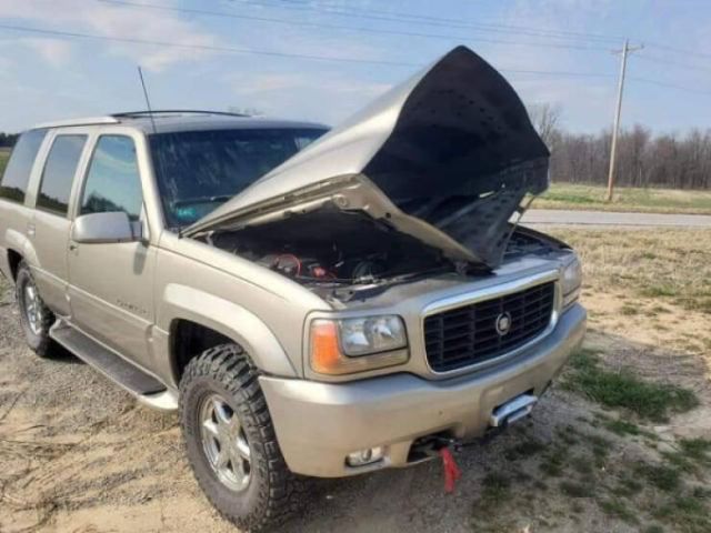 Weird Finds And Situations (20 pics)