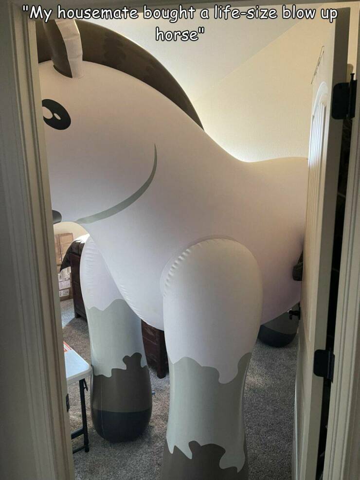 Daily Pictures. Part 2 (54 pics)