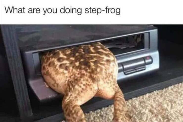 Daily Pictures. Part 2 (54 pics)