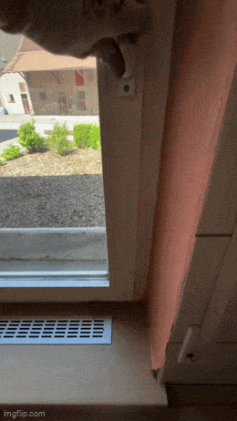 Acid GIFs, July 26 (25 gifs) Acid GIFs, July 26 (25 gifs)