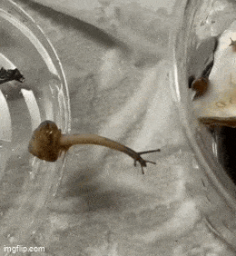 Acid GIFs, July 26 (25 gifs) Acid GIFs, July 26 (25 gifs)