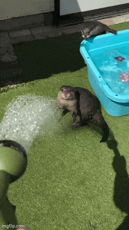 Acid GIFs, July 26 (25 gifs) Acid GIFs, July 26 (25 gifs)