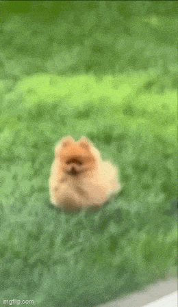Acid GIFs, July 26 (25 gifs) Acid GIFs, July 26 (25 gifs)
