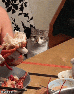 Acid GIFs, July 26 (25 gifs) Acid GIFs, July 26 (25 gifs)