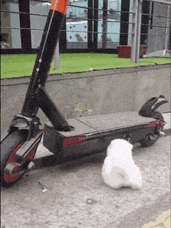 Acid GIFs, July 26 (25 gifs) Acid GIFs, July 26 (25 gifs)