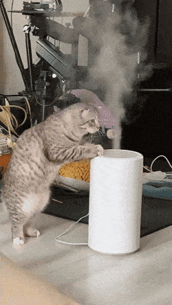 Acid GIFs, July 26 (25 gifs) Acid GIFs, July 26 (25 gifs)