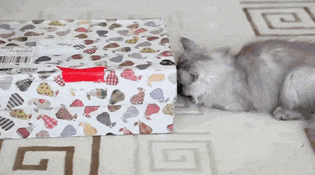 Acid GIFs, July 26 (25 gifs) Acid GIFs, July 26 (25 gifs)