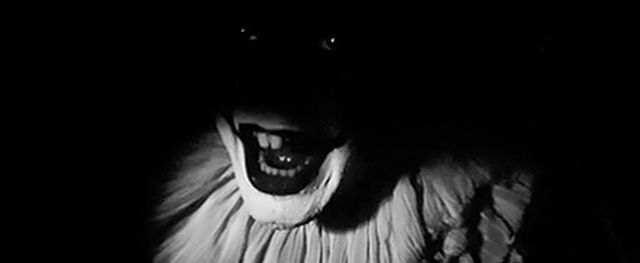 Terrifying Facts (15 gifs)