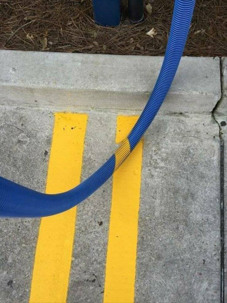 Daily Pictures. Part 2 (60 pics)