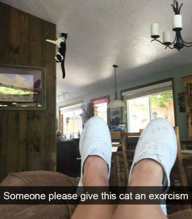 Daily Pictures. Part 2 (60 pics)