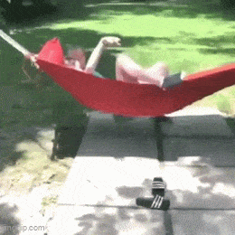 Acid GIFs, July 29 (25 gifs)