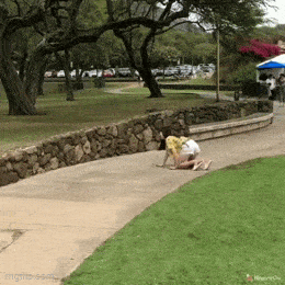 Acid GIFs, July 29 (25 gifs)