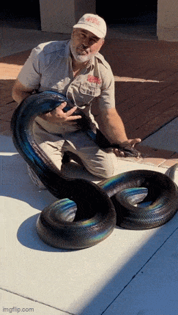 Acid GIFs, July 29 (25 gifs)