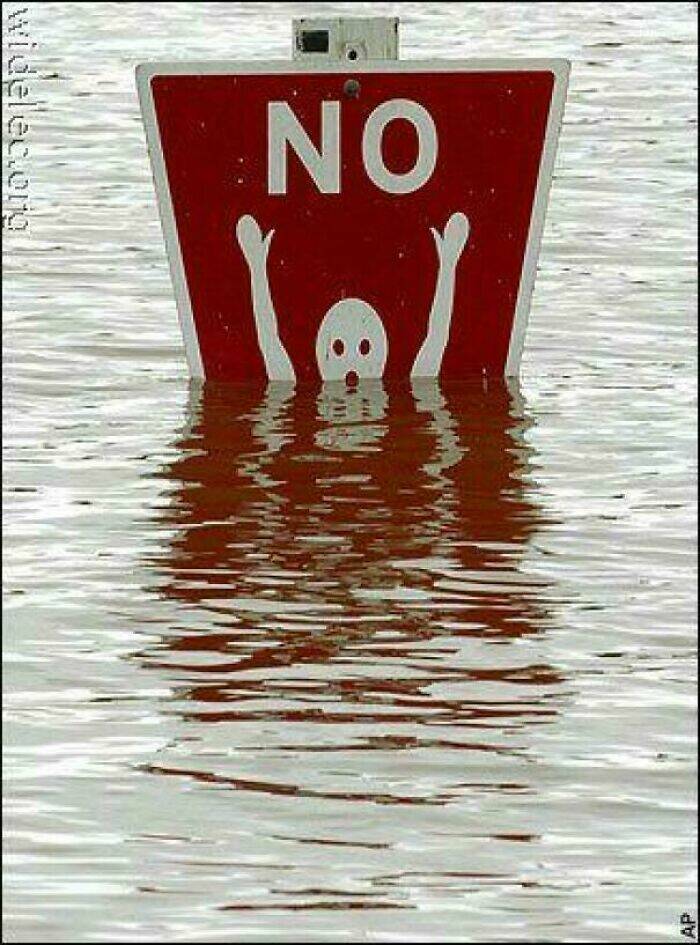 Funny Signs (17 pics)