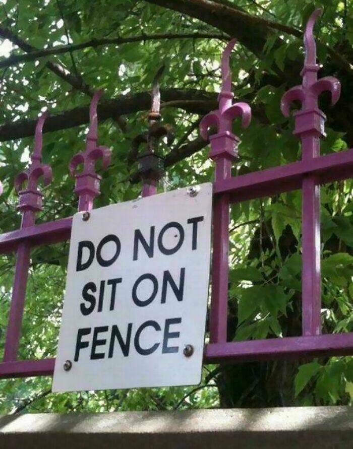 Funny Signs (17 pics)