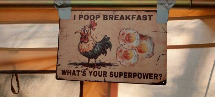 Funny Signs (17 pics)