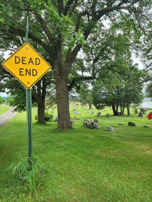 Funny Signs (17 pics)