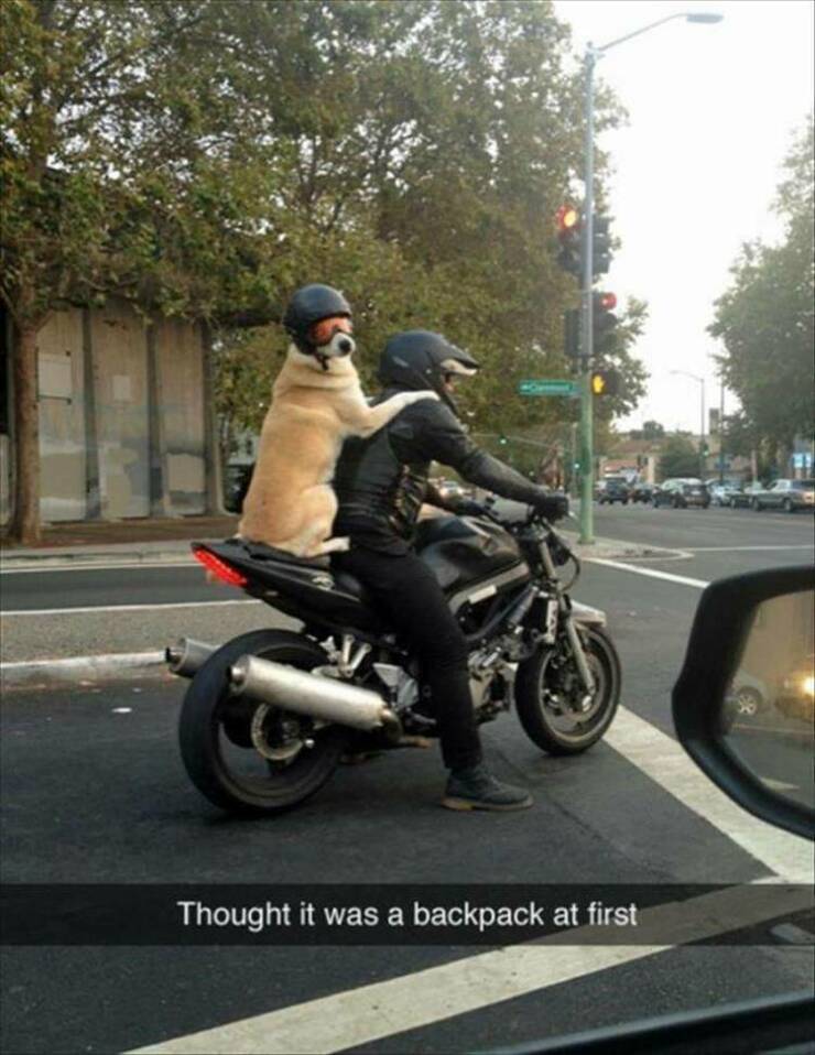 Daily Pictures. Part 2 (60 pics)
