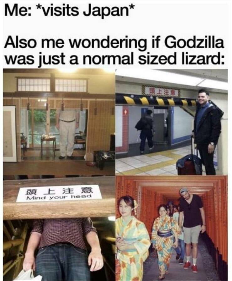 Daily Pictures. Part 2 (57 pics)