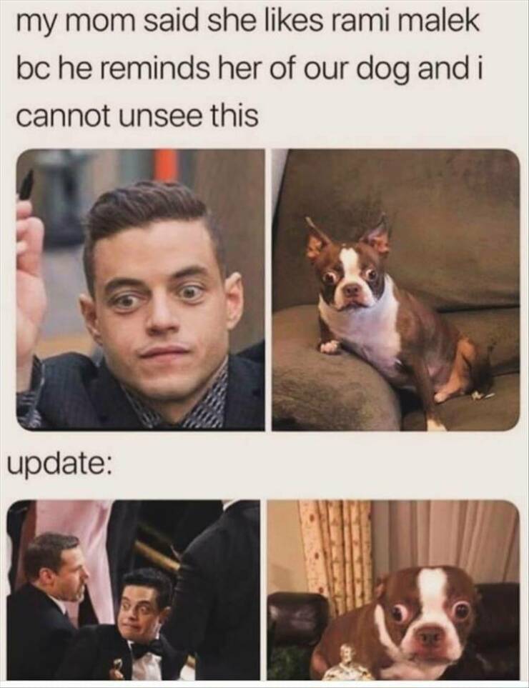 Daily Pictures. Part 2 (57 pics)