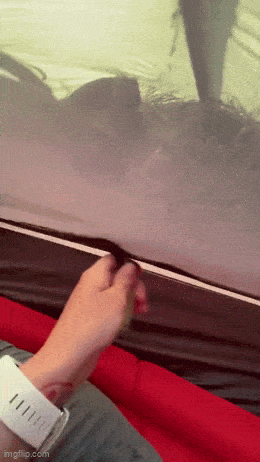 Acid GIFs, August 1 (25 gifs) Acid GIFs, August 1 (25 gifs)