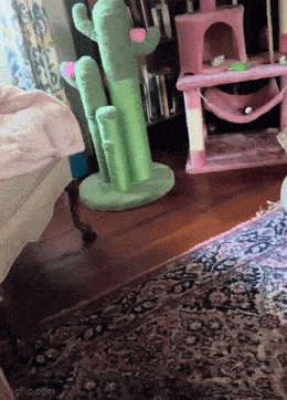 Acid GIFs, August 1 (25 gifs) Acid GIFs, August 1 (25 gifs)